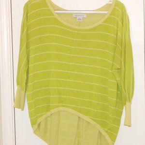Liz Claiborne S Green Striped Sweater
